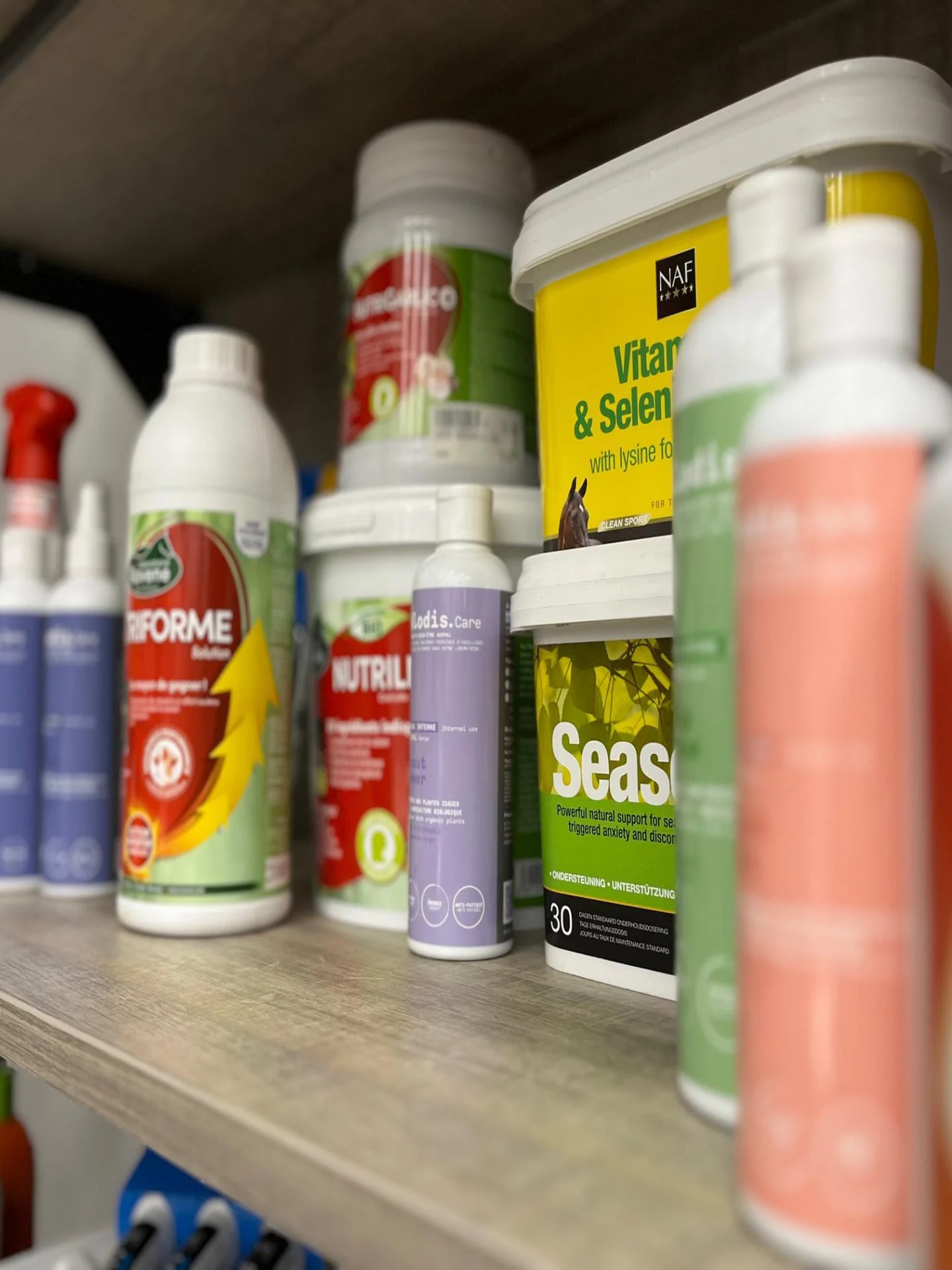 produits pour chevaux corse